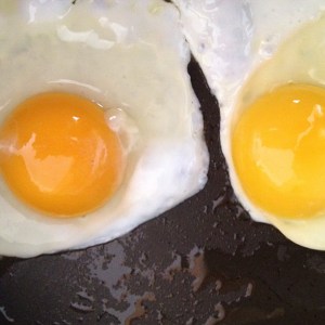 Side by Side Eggs