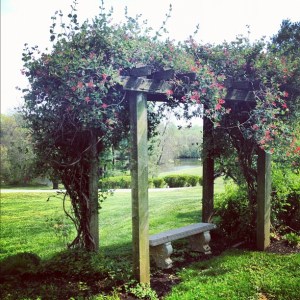 Arbour with bench