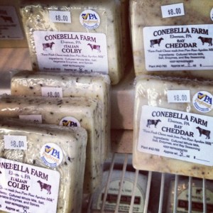 Cheese Elverson, PA