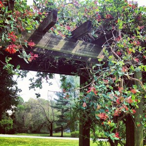 Pretty Arbour