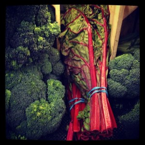 Swiss Chard