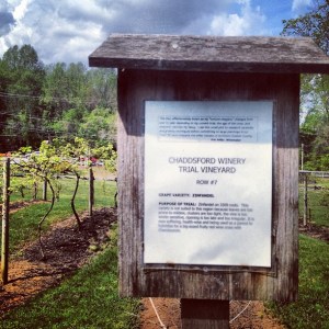 Zinfandel Grape Signage