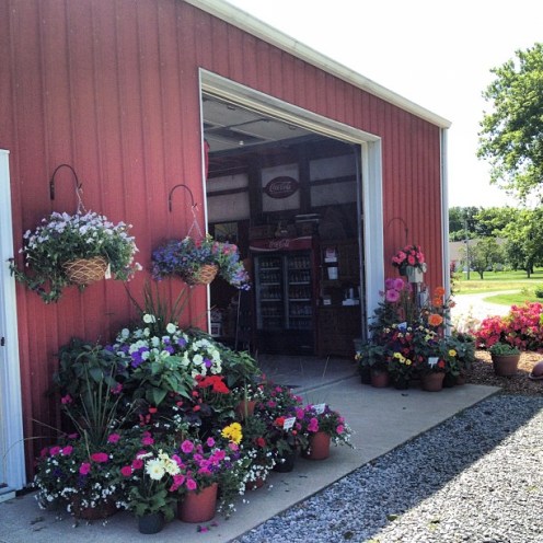 Gorgeous entrance to the produce stand