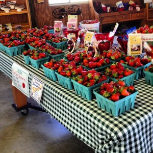 Filaskys Strawberries for Sale