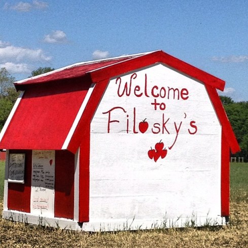 Welcome to Filasky's