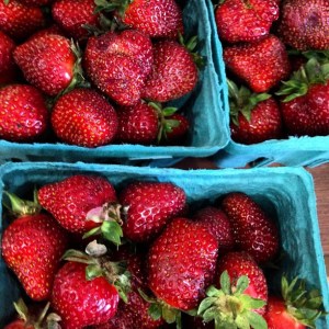 Harvest Organic Strawberries