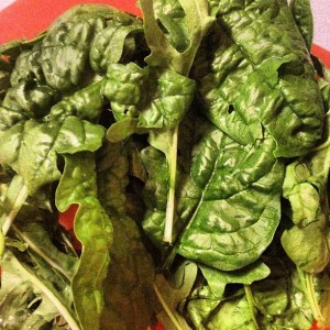 Spinach