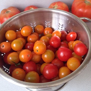 Homegrown and superior to all other tomatoes