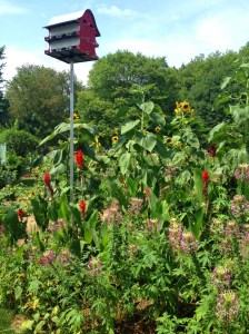 Update Red Bird House