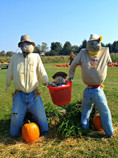 Fall Scarecrows