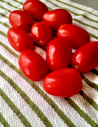 Roma Tomatoes