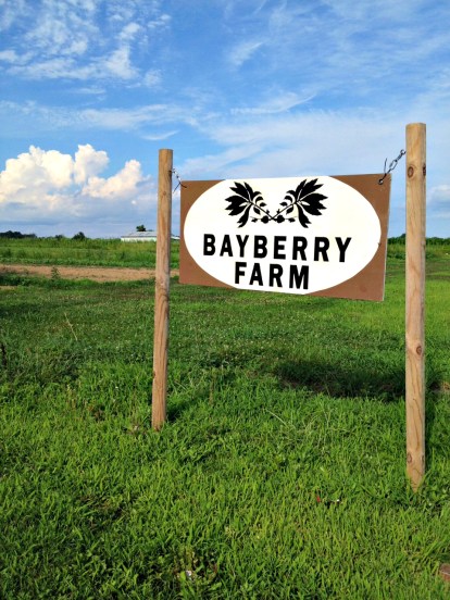 Bayberry Farm Sign