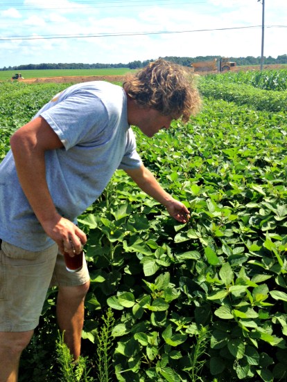 Bayberry Toby and Edamame