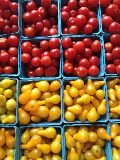 What dreams are made of