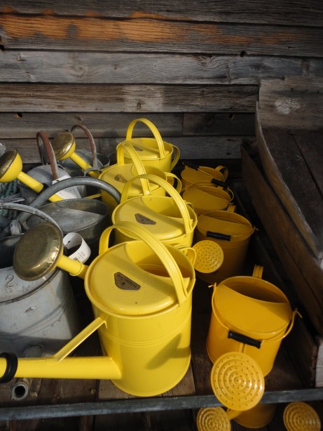 Happy, yellow watering cans
