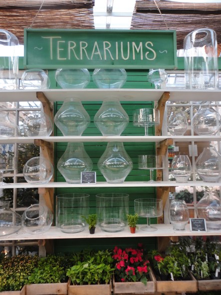 All the fixings for a perfect terrarium