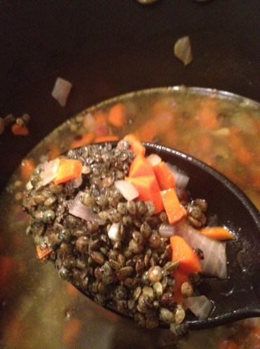 Beautiful French Lentils cooking with carrots, onions and bay leaf