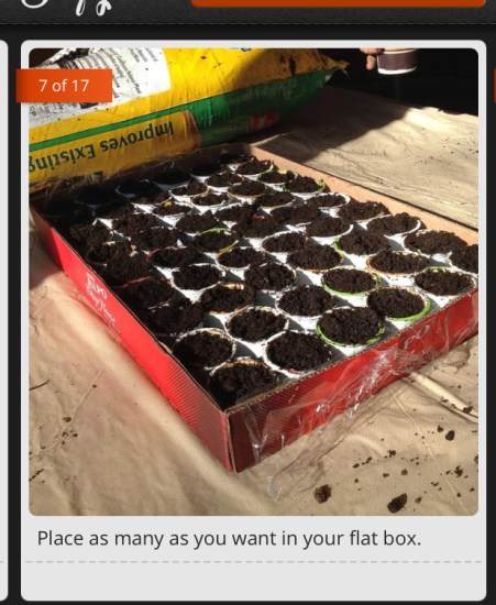 This guide is awesome. Thanks, Beka!