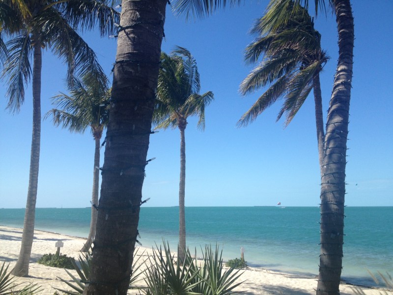 The view from our table. Paradise