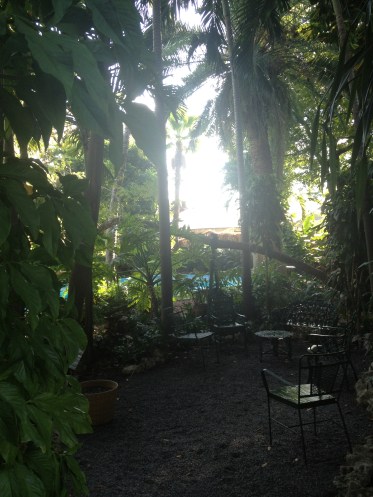 A peaceful spot to hide away from the world