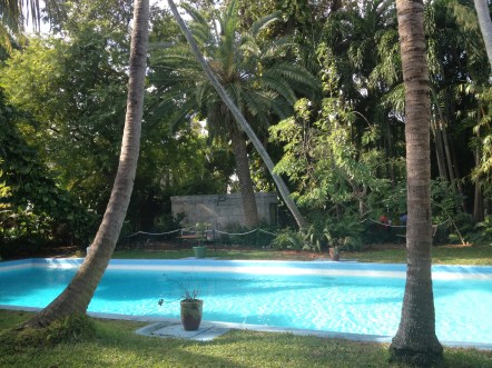 The controversial pool in all it's glory