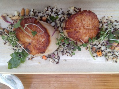 Scallops with roasted barley and quinoa