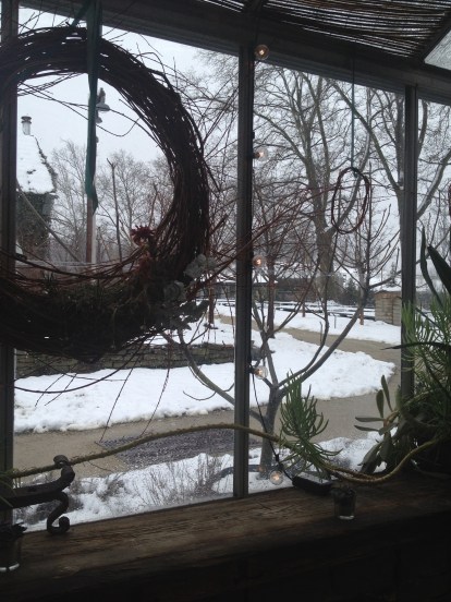 View during our Spring lunch