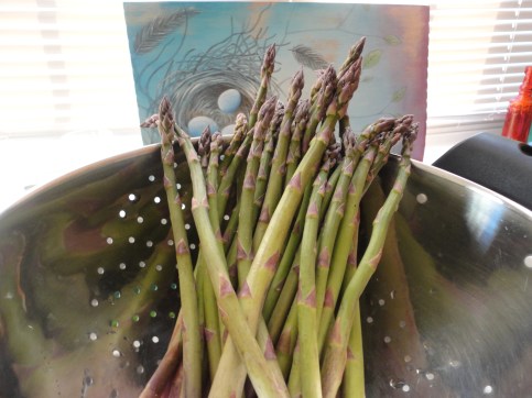 Filasky's Asparagus