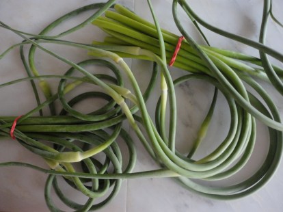 Scapes from my CSA - Lancaster Farm Fresh Cooperative