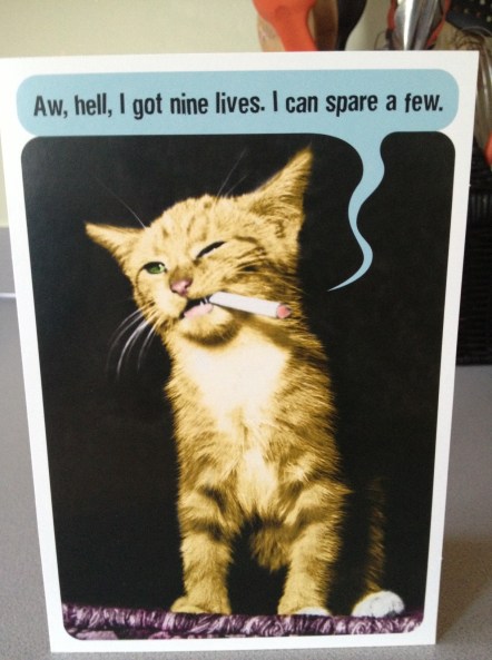 Whenever I imagine MY cats doing human things like washing dishes (which is often) they are always smoking a cigarette and looking surly. So this card is perfection.