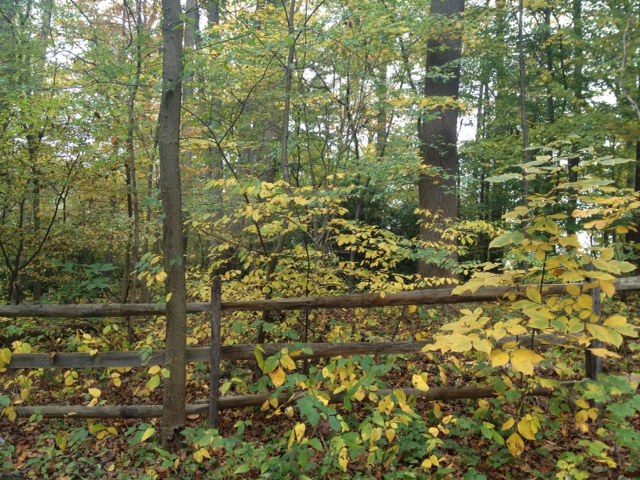 Longwood fence