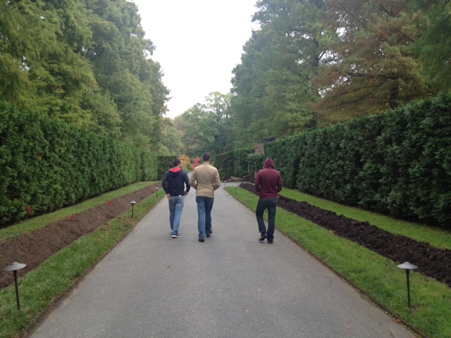 Longwood joe and brothers